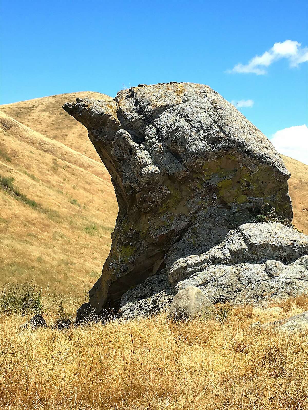 A rock formation, when viewed from the proper angle and when the sun hits it just right, looks like a bird head, located in Las Trampas Regional Wilderness near San Ramon