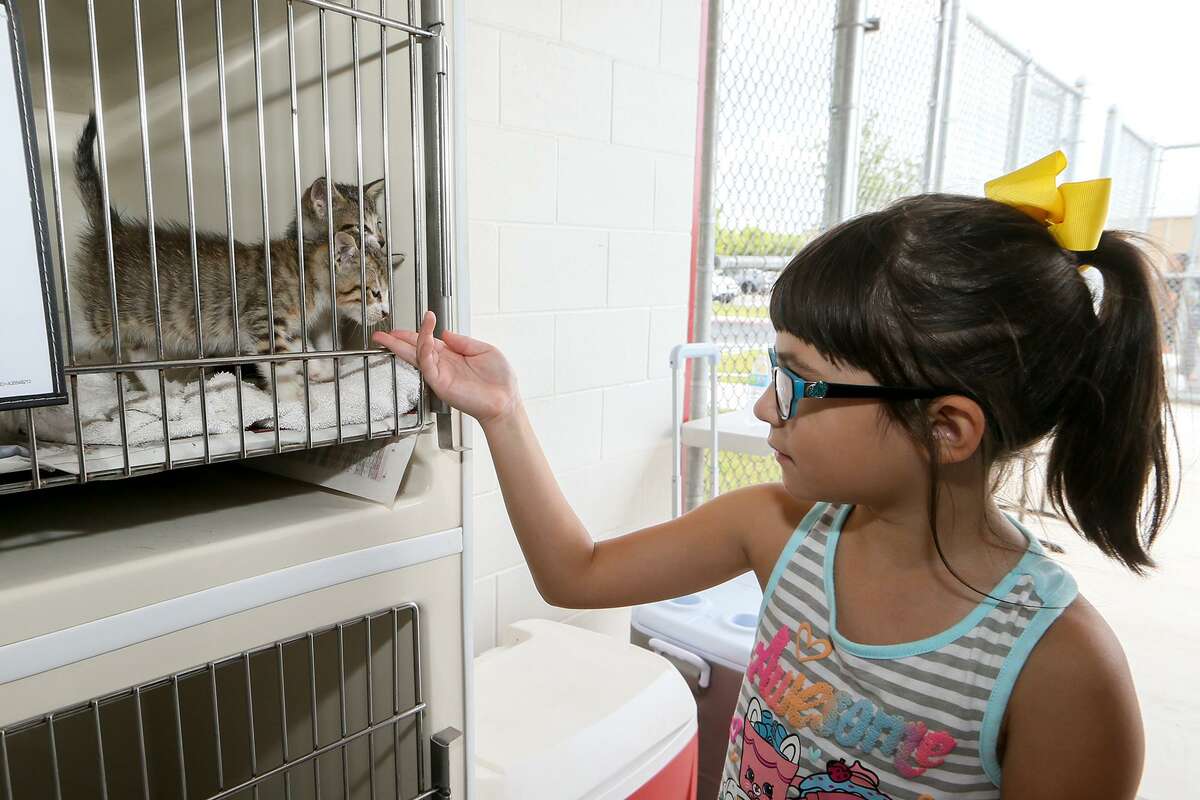 Ribbon cut on Kirby-Bexar Animal Facility