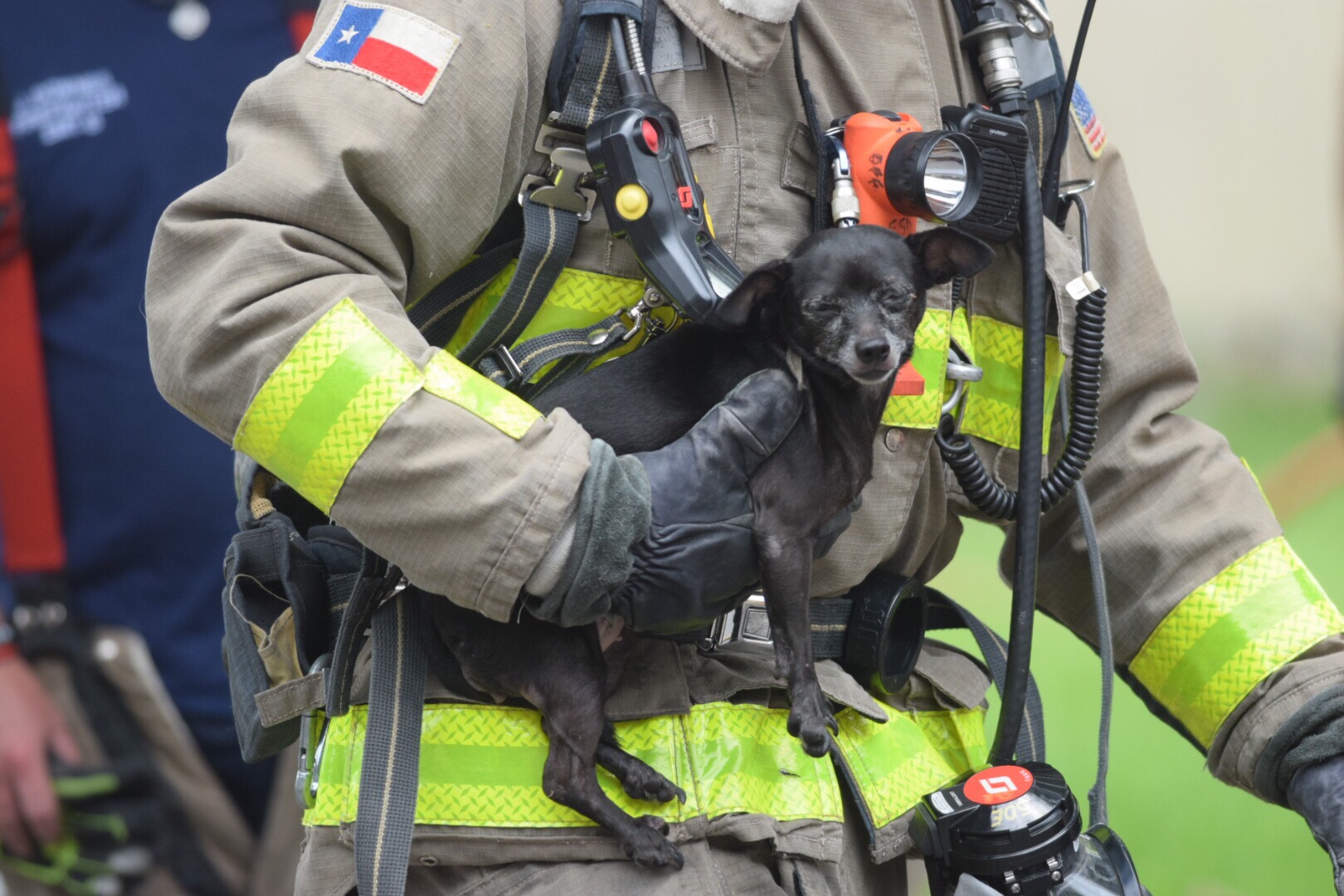 Photos: Firefighters save dog from Southwest Side house fire