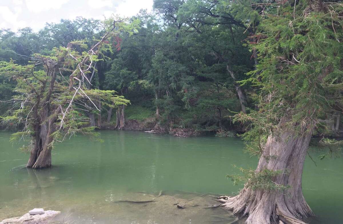 Guadalupe River State Park is home to a diverse array of wildlife.