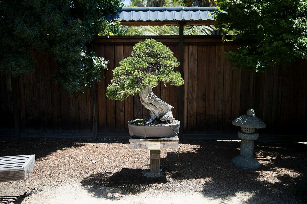 Outdoor adventure beckons in Oakland