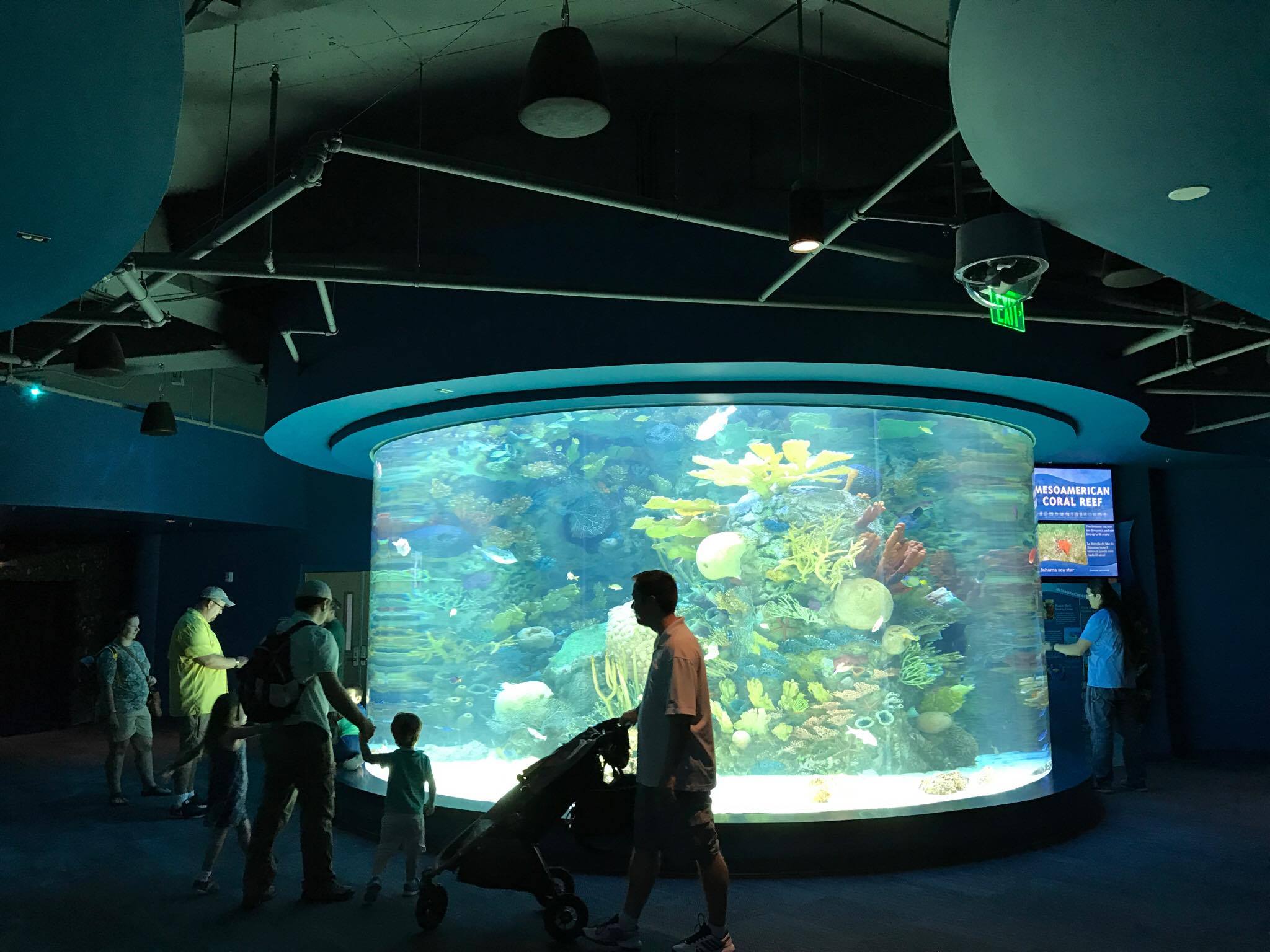 Corpus Christi Isd Spring Break 2024 - rf1lzw1