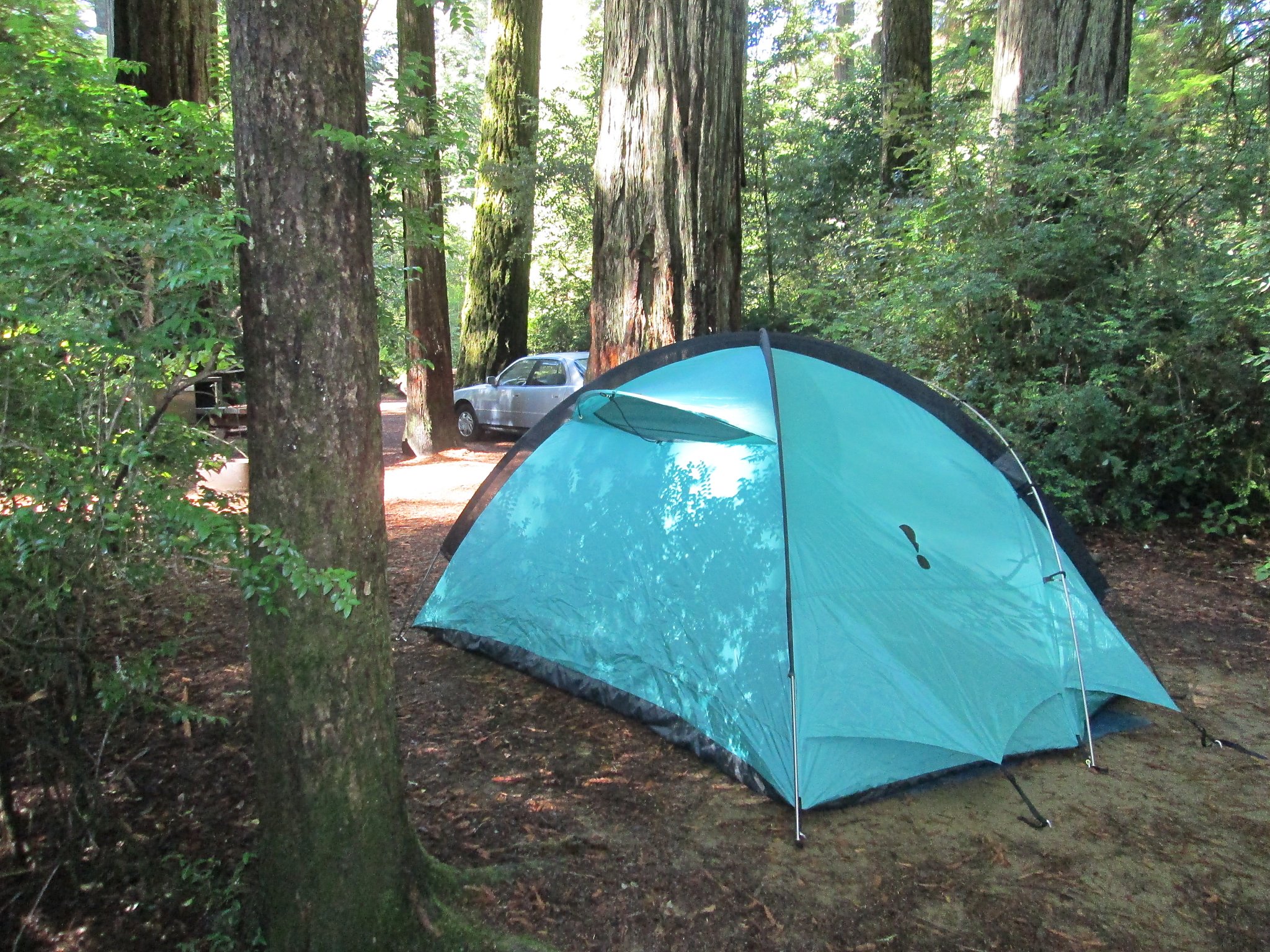 8 Places To See Redwoods Near San Francisco That Arent Muir