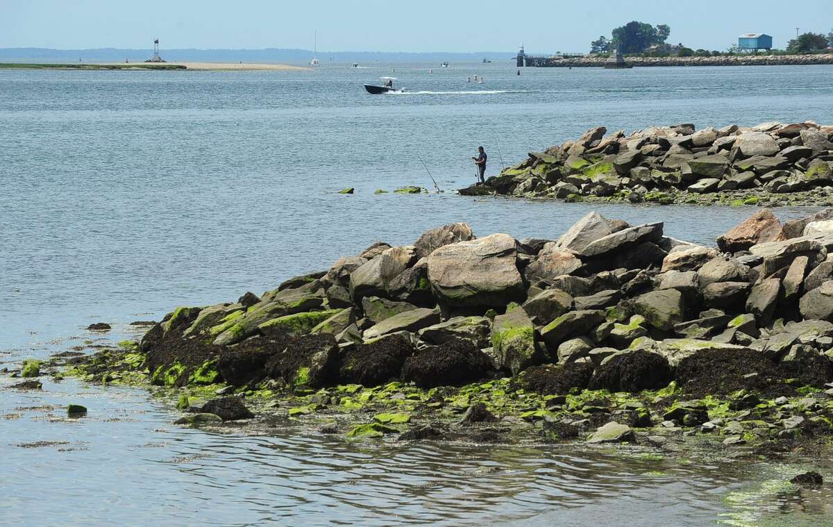 Fisherman and pleasure boaters recreate at the mouth of Norwalk Harbor Thursday, June 15, near Calf Pasture Beach in Norwalk.