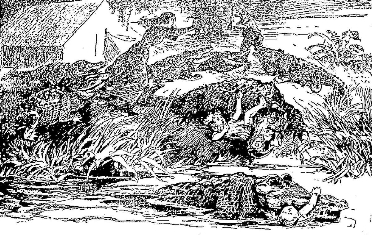 An engraving, which ran in The San Antonio Light in 1899, depicts an alleged event of an alligator attack at Lake Espontas, near San Antonio, in 1898, which may have been one of the first "fake news" reports. At least one news account claimes Paul Nagele and family were attacked by a number of alligators. Two children died. His wife was injured. Using an axe, Nagele drove off the reptiles, killing three and wounding five more.