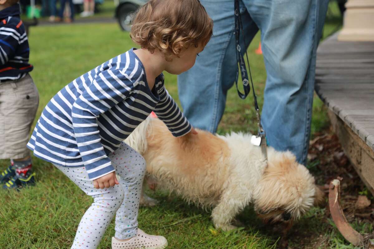 The New England Auto Museum held its annual Father's Day Car Show at Mathews Park in Norwalk on June 18, 2017. Guests enjoyed food, touring the Lockwood-Mathews Mansion and, of course, classic cars. Were you SEEN?