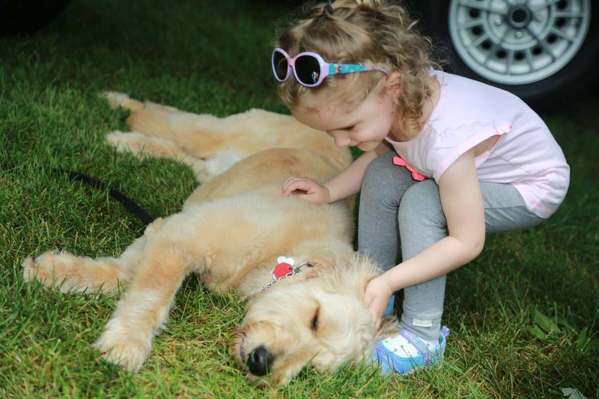 The New England Auto Museum held its annual Father's Day Car Show at Mathews Park in Norwalk on June 18, 2017. Guests enjoyed food, touring the Lockwood-Mathews Mansion and, of course, classic cars. Were you SEEN?