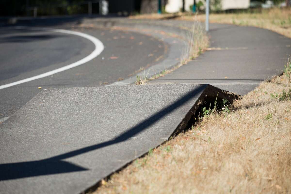 Sidewalks around the Bay Area are buckling... could it be the heat?