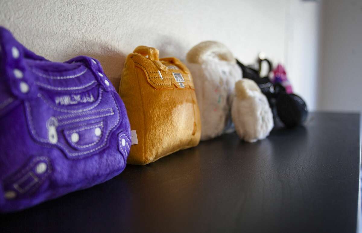 Photos Inside the luxury Central Texas pet hotel that will pick up