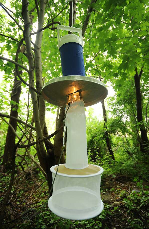 FILE 13; In this file photo from July 2015, a mosquito sampling trap, known as a light trap, hangs from a tree near DeLuca Field on Main Street in Stratford, Conn. According the Center for Disease Control, 1 in 5 people who contract West Nile virus show symptoms of the disease. Photo: Brian A. Pounds