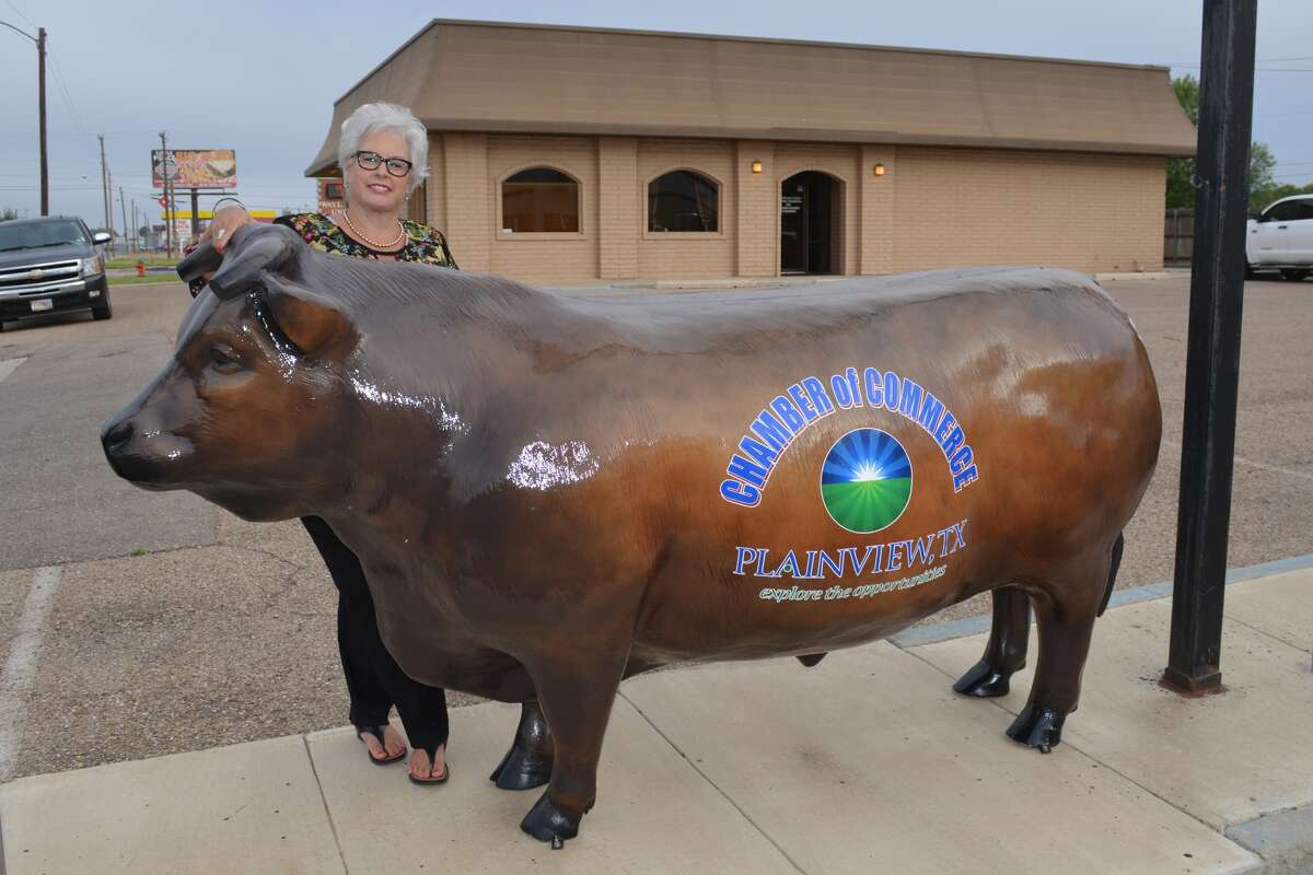 Plainview Chamber of Commerce Executive Director Linda Morris stands behind that group’s newly-repainted fiberglass cow Tuesday morning, shortly after telling the Chamber board of her plans to retire in December. Morris has been Chamber manager since January 2011.