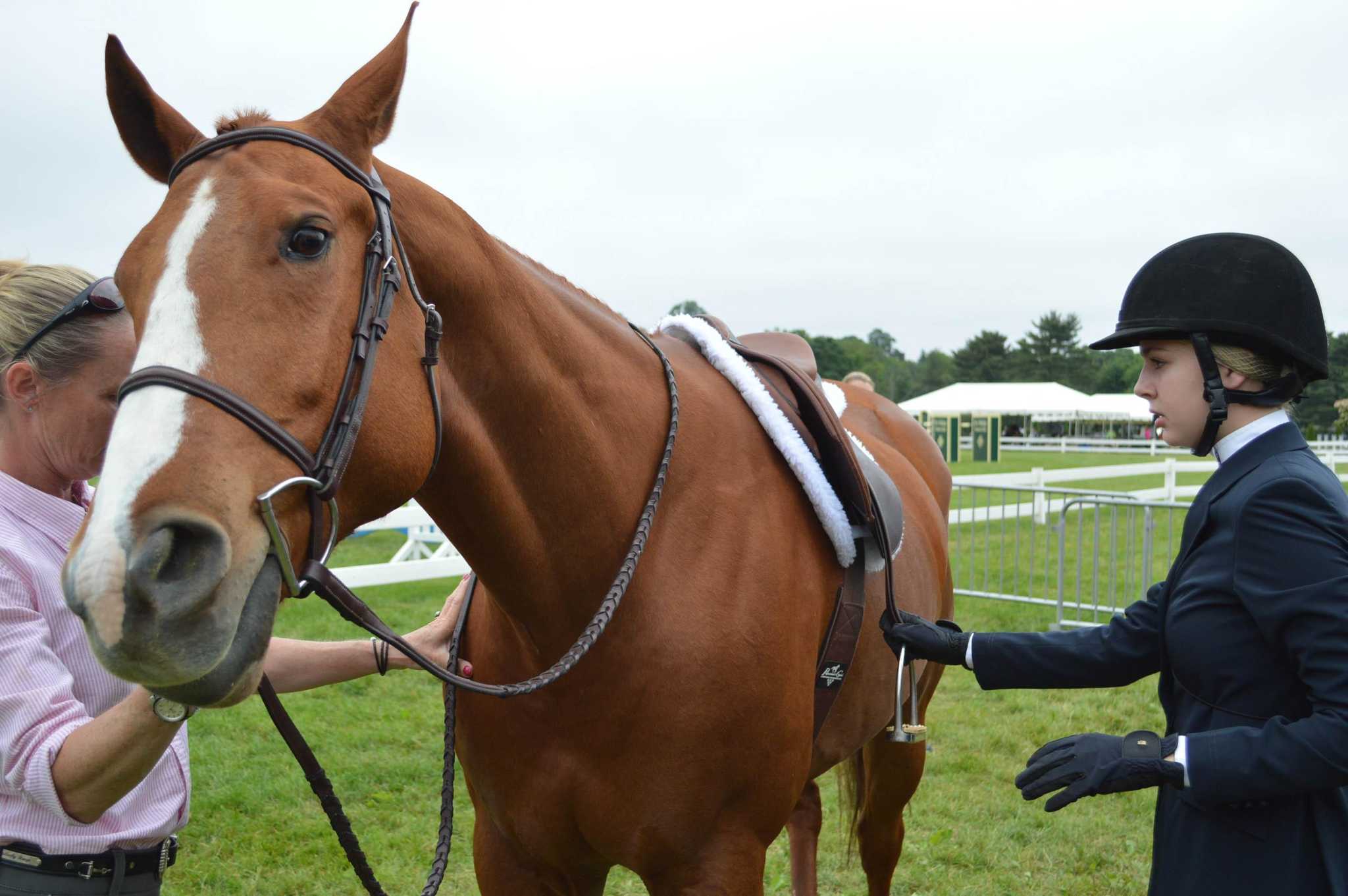 In Pictures Ox Ridge Horse Show