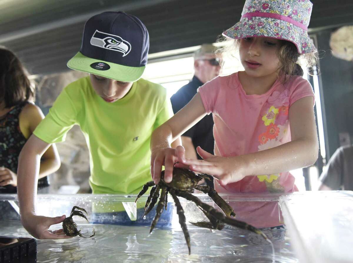 "Experience the Sound: From Streams Through Soil to Sea" annual event at Greenwich Point Park in Old Greenwich features petting tanks, food, boat rides and informational talks. This year’s event is set for 1 to 4 p.m. on June 25.