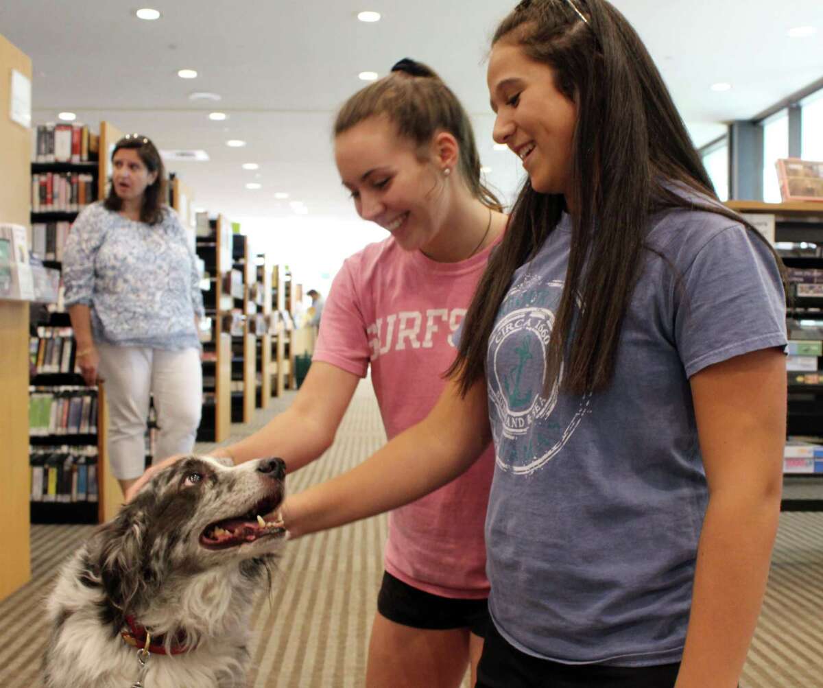 Claire Meany (right) and Caroline Hess (middle) take a break from studying to pet Rooney, a therapy dog from Ridgefield Operation for Animal Rescue, at Wilton Library on Tuesday, June 20, 2017.