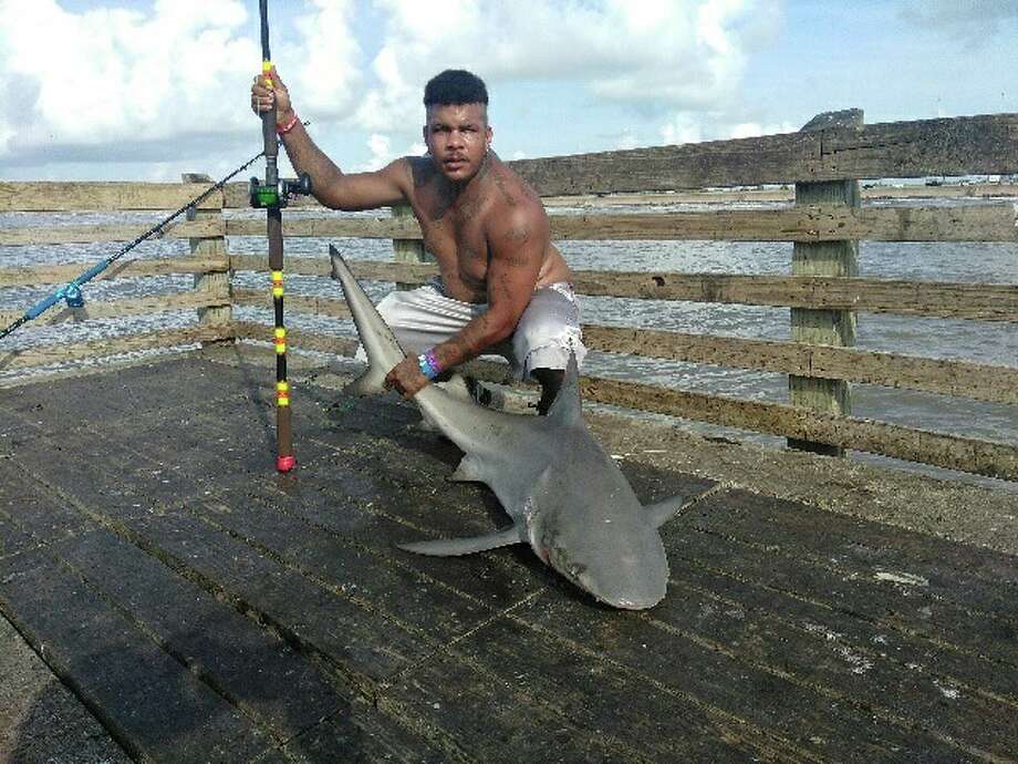 Anglers snare sharks, other big catches at Galveston Fishing Pier