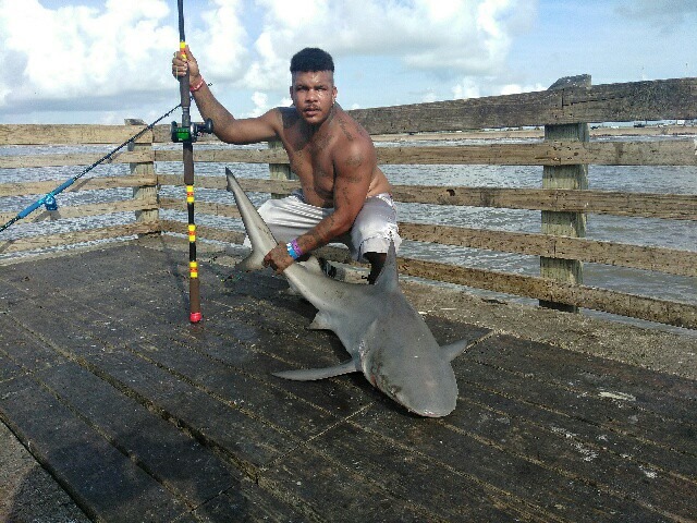 Anglers Snare Sharks Other Big Catches At Galveston Fishing Pier