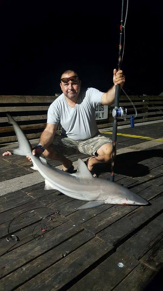 guy catches huge black fish on pier｜TikTok Search