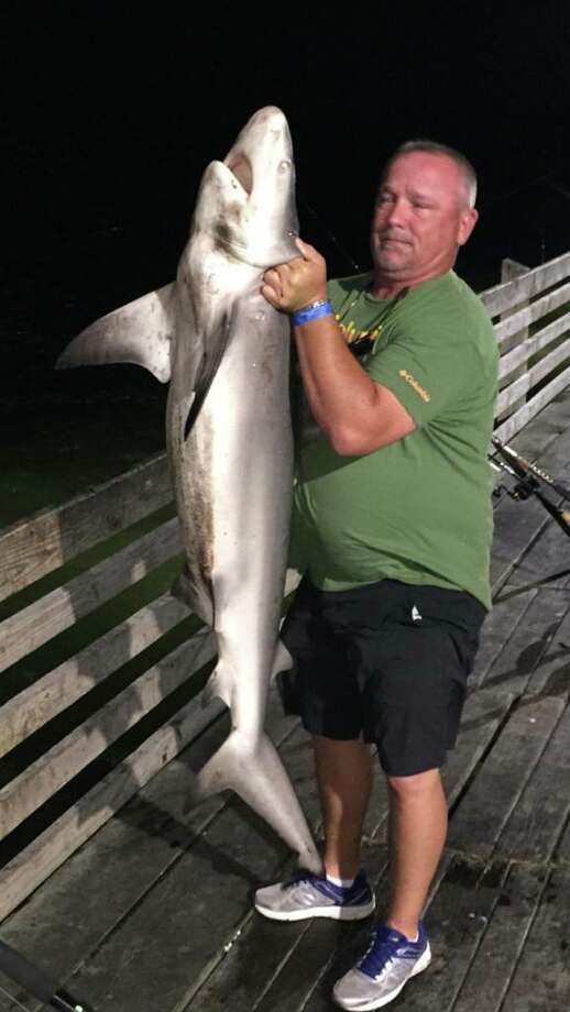 Anglers snare sharks, other big catches at Galveston Fishing Pier