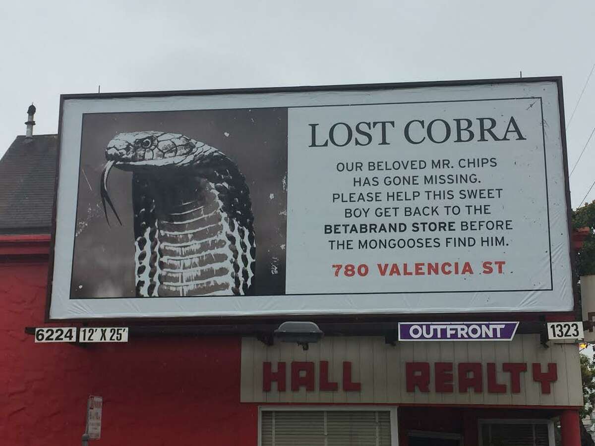 S.F.-based clothing store BetaBrand placed nine lost-cobra billboards around town in June 2017 as a marketing stunt.