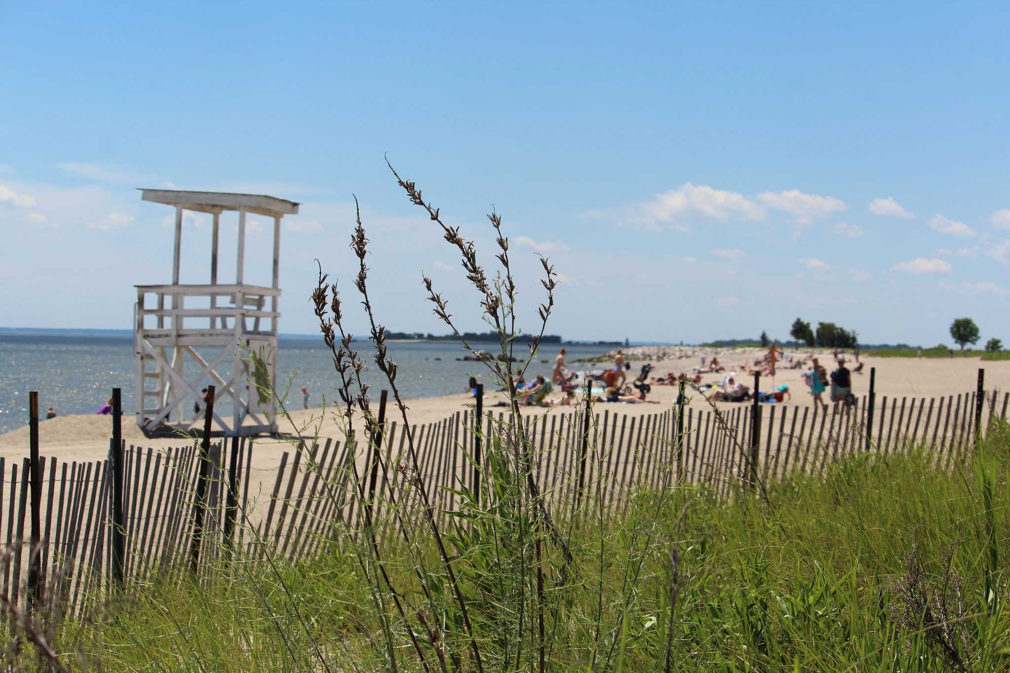 Sherwood Island Makes More Cuts To Liuard Staffing Westport News