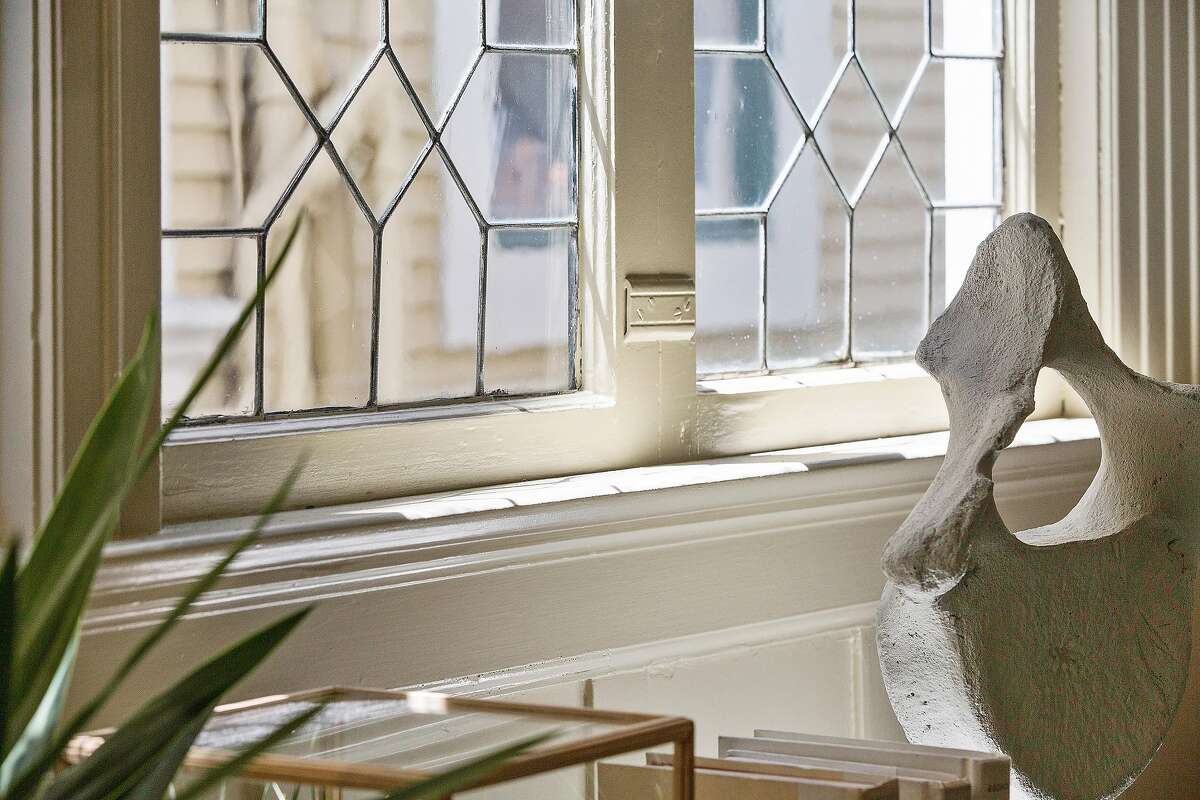 Edwardian Craftsman in Jordan Park exudes period charm