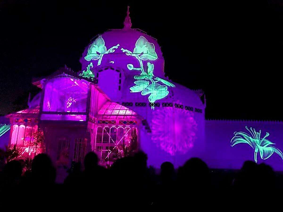 San Francisco Conservatory during Obscura light show celebrating 50th anniversary of Summer of Love