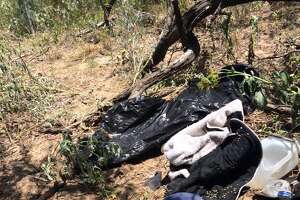 The U.S. Customs and Border Protection agency has found several illegal immigrants dying due to the heat after making their way into the U.S.