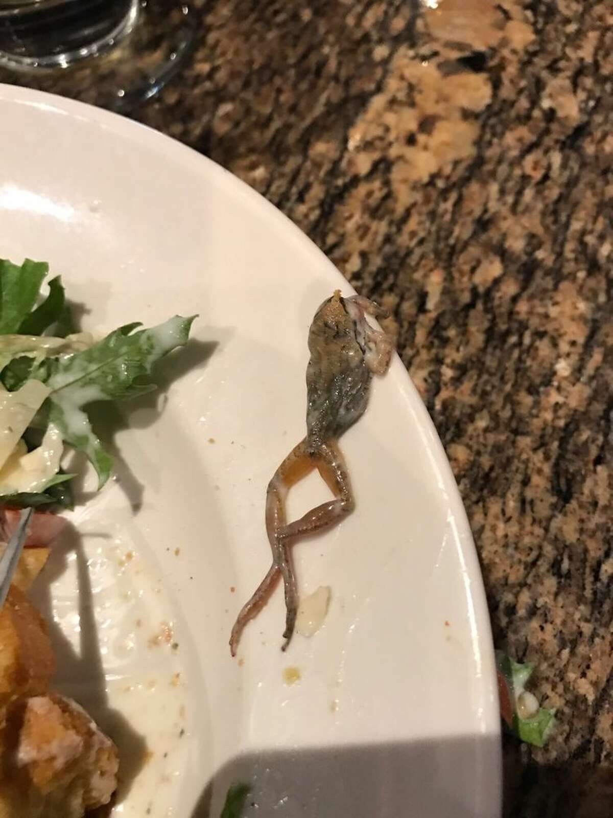 A California woman found a dead frog in her salad at a BJ's Restaurant and Brewhouse.
