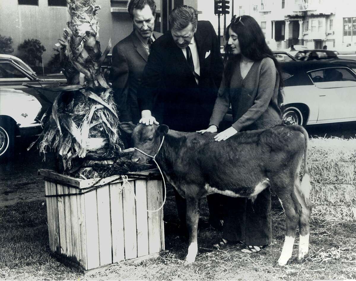 Bonnie Ora Sherk and Howard Levine, "Portable Parks II" (1970); performance and installation staged on June 26, 1970, at the freeway off-ramp on the corner of Mission, Otis, and Duboce Streets, San Francisco; Bonnie Sherk discussing the project with CalTrans officials.