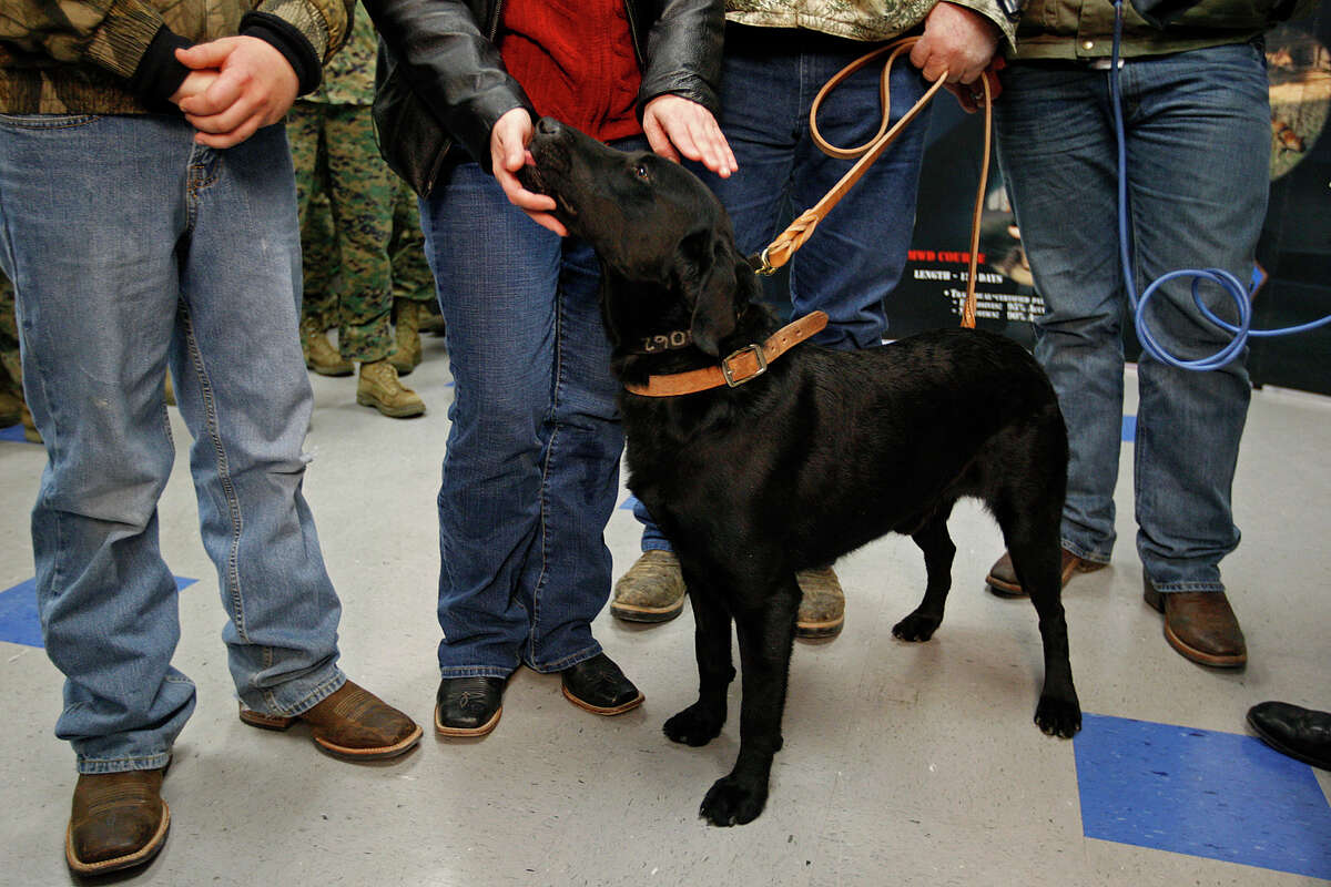 Military service dogs to be honored at Fallen Warriors
