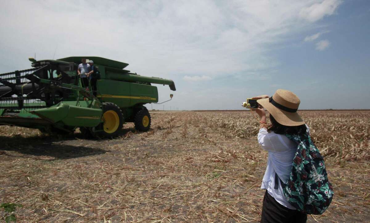 The visitors got the opportunity to ride the harvester machine while witnessing the sorghum being harvested during a tour the past summer for Chinese buyers of of U.S. sorghum. Huang Rui, quickly spans a pictures of her colleagues and friends as they board the harvester. China is the largest importer of Texas sorghum, so the announcement of a 179 percent deposit against possible anti-dumping duties hits hard.