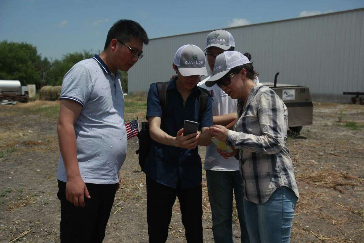 Song Qun, explains to his colleagues how the sorghum is harvested using the big tractor at the Chopelas Farms.