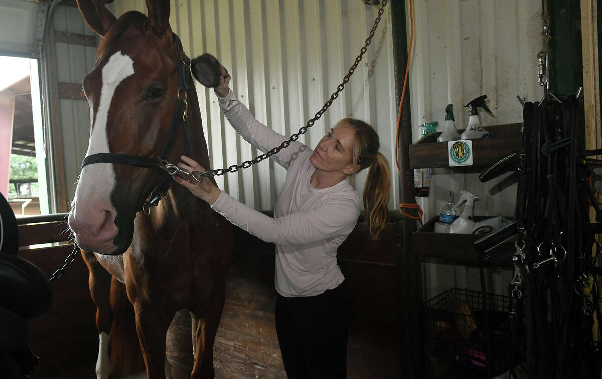 Lifelong love of horses translates into winning business