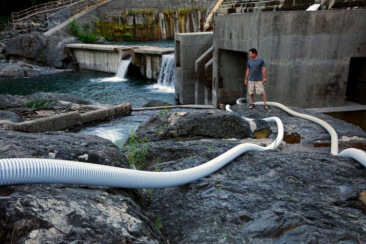 Damon Goodman, fish biologist with the US Fish and Wildlife service is seen near a system of tubes designed to help the lamprey make their way up the Lake Arsdale Dam along the Ell River on Monday June 26, 2017 in Mendocino County, Ca. The lamprey are unable to make it over the concrete dam using the face of the dam leading biologists to create new ways to assist the lamprey in their migration.