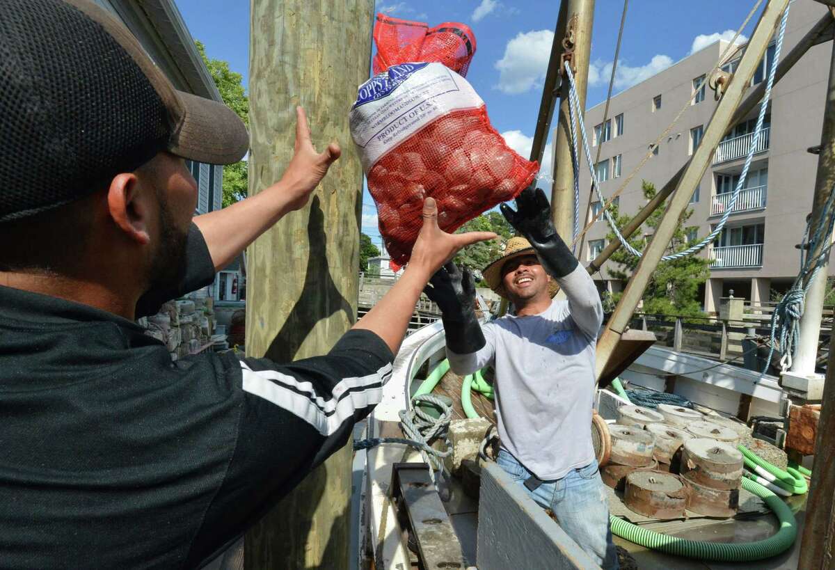 Crew members from the Vigilant unload bags of clams just harvested at Copps Island Oysters in Norwalk on Wednesday, June 28. An informational tablet about the history of oystering in Norwalk is along the Norwalk River Vally Trail.
