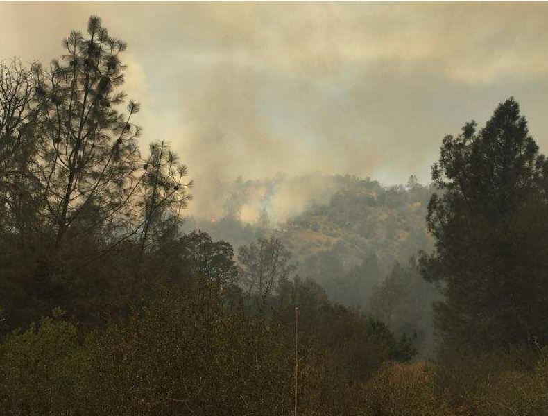 Wildfire forces evacuations in Mariposa County