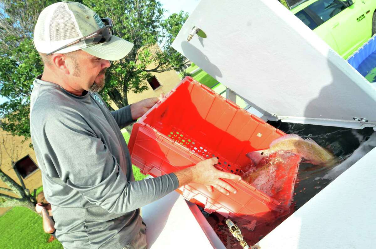 Texas Parks and Wildlife's Zane Kirsch dumps a container of redfish into the fish hauling unit tank, where it will remain until release after Day 1 of the Elite Redfish Series Border Wars tournament at the Robert A. "Bob" Bowers Civic Center in Port Arthur. (Mike Tobias/The Enterprise)