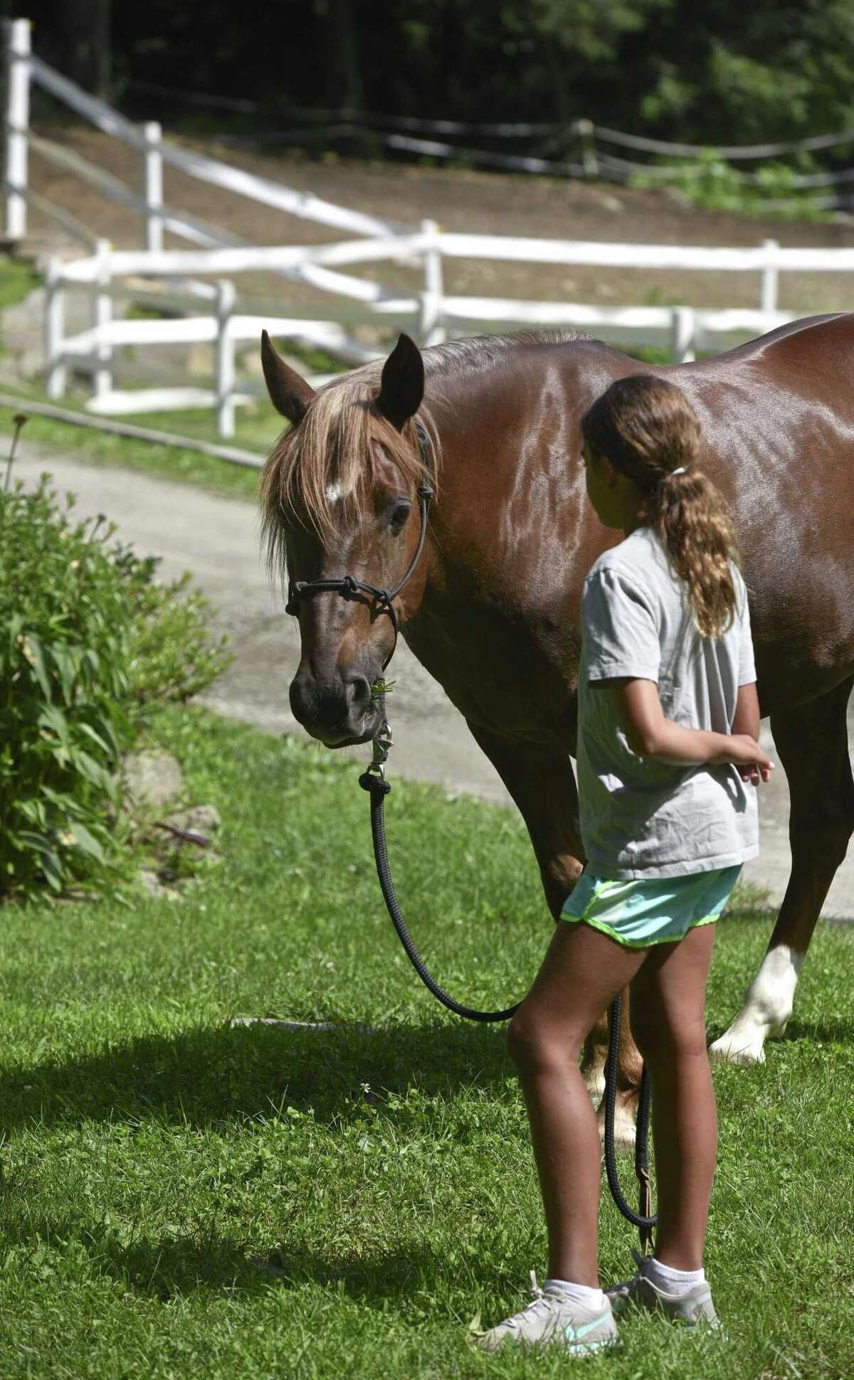 New horse rescue operating in Redding saves a life