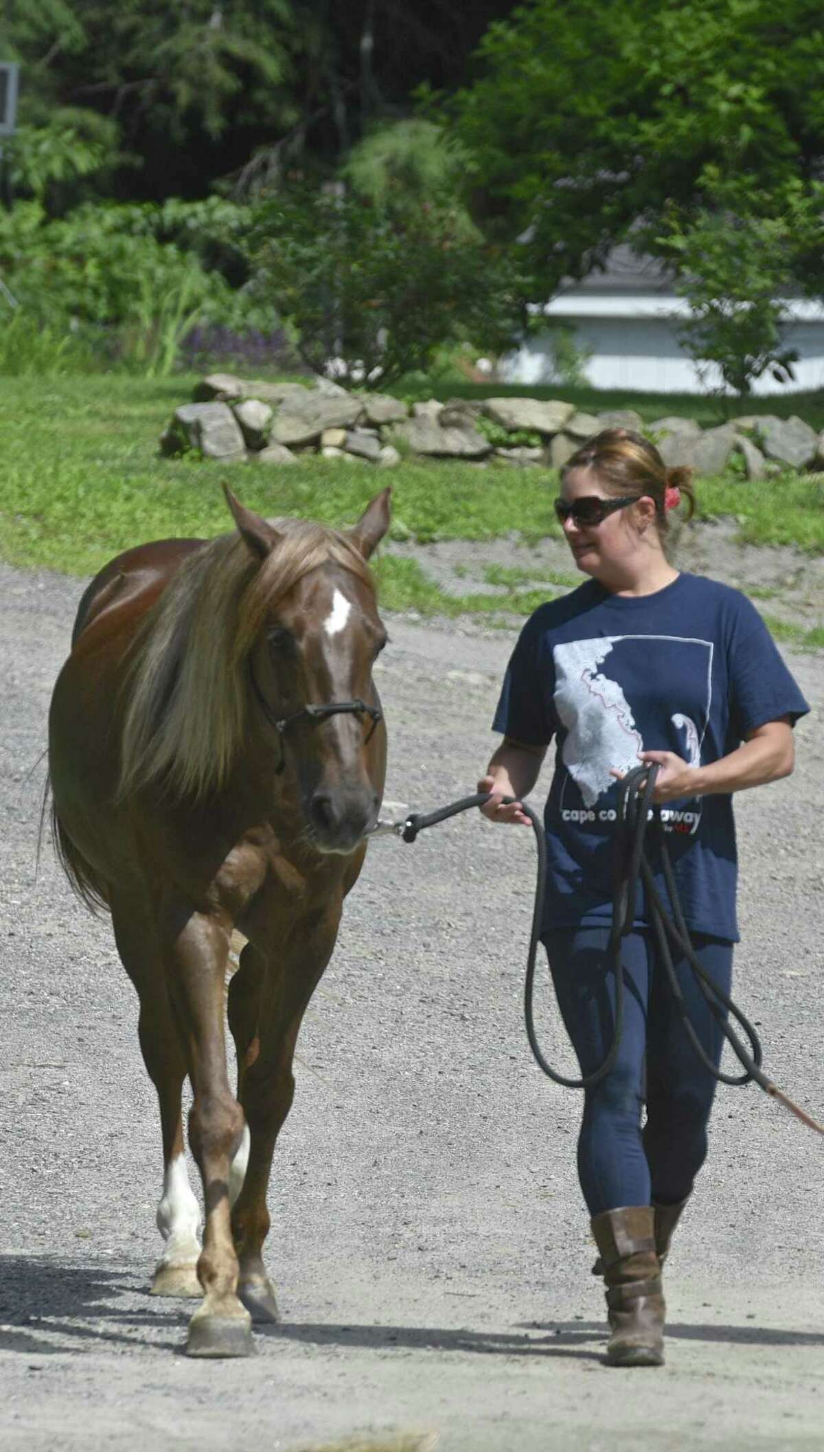 New horse rescue operating in Redding saves a life