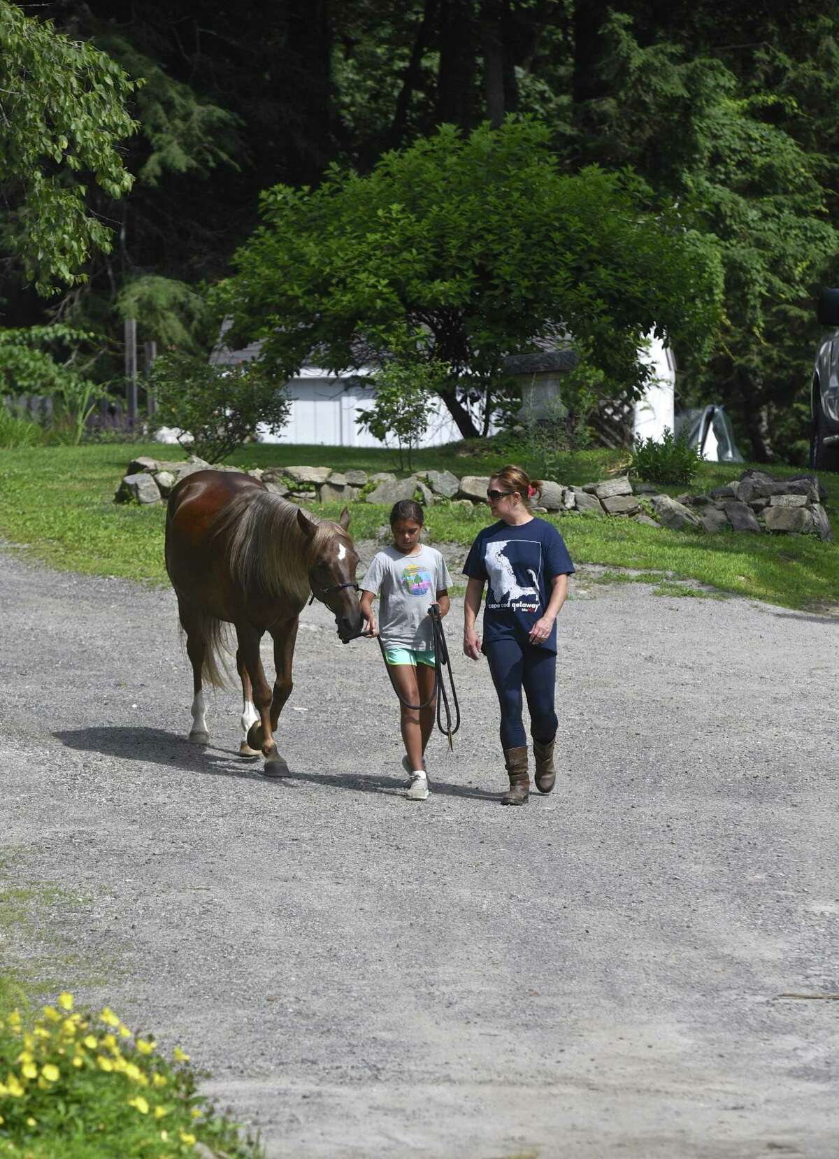 New horse rescue operating in Redding saves a life