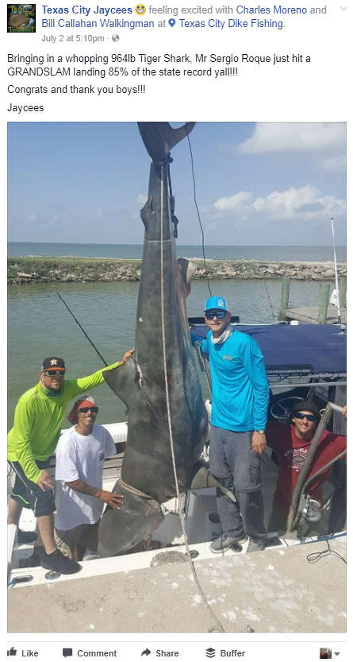 Gulf of Mexico fishing 964pound tiger shark reeled in off Texas City