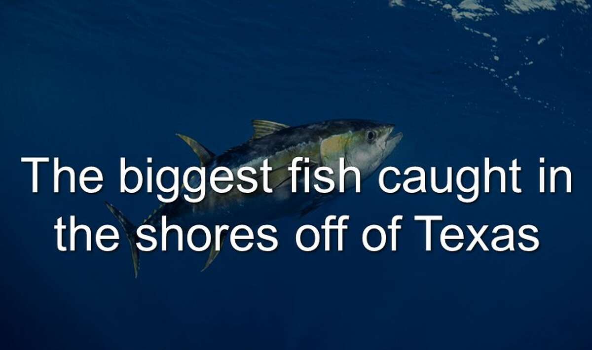 Continue clicking to see the biggest fish that have been caught in the Gulf of Mexico along the Texas state lines, according to the Texas Parks and Wildlife.