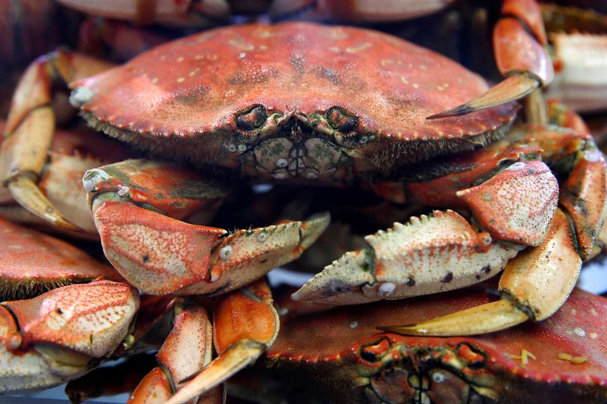 Commercial Dungeness crab season scheduled to start on Nov. 15