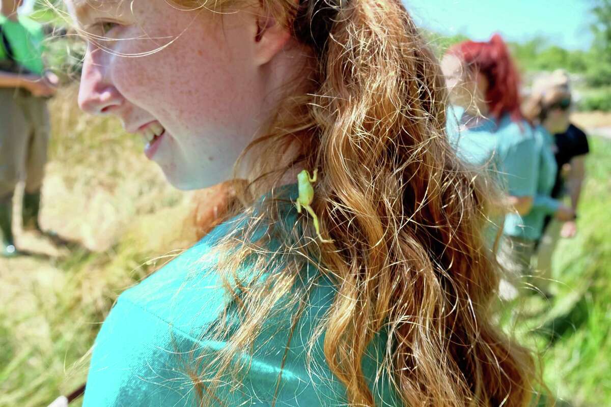 A tree frog in Krka National Park finds a home in Greenwich Academy rising sophomore Laurel Pitts' hair.