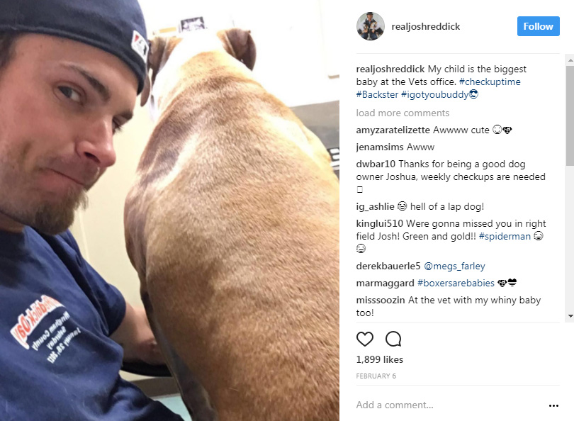 The cuteness you need today: Meet Lance McCullers' adorable dogs