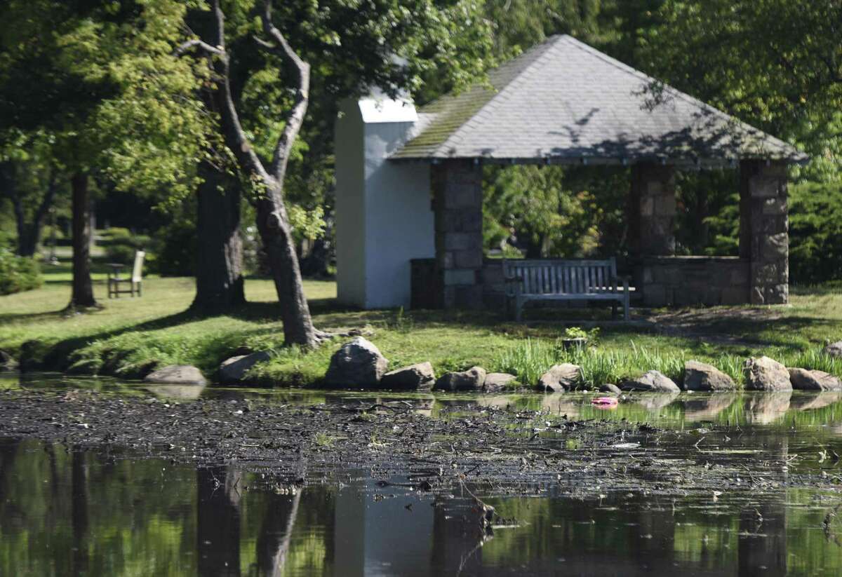 Large deposits of silt have slowly built up, catching litter and becoming a constant eyesore in the Binney Park pond in Old Greenwich, Conn. Dredging has begun and is expected to last about six months.