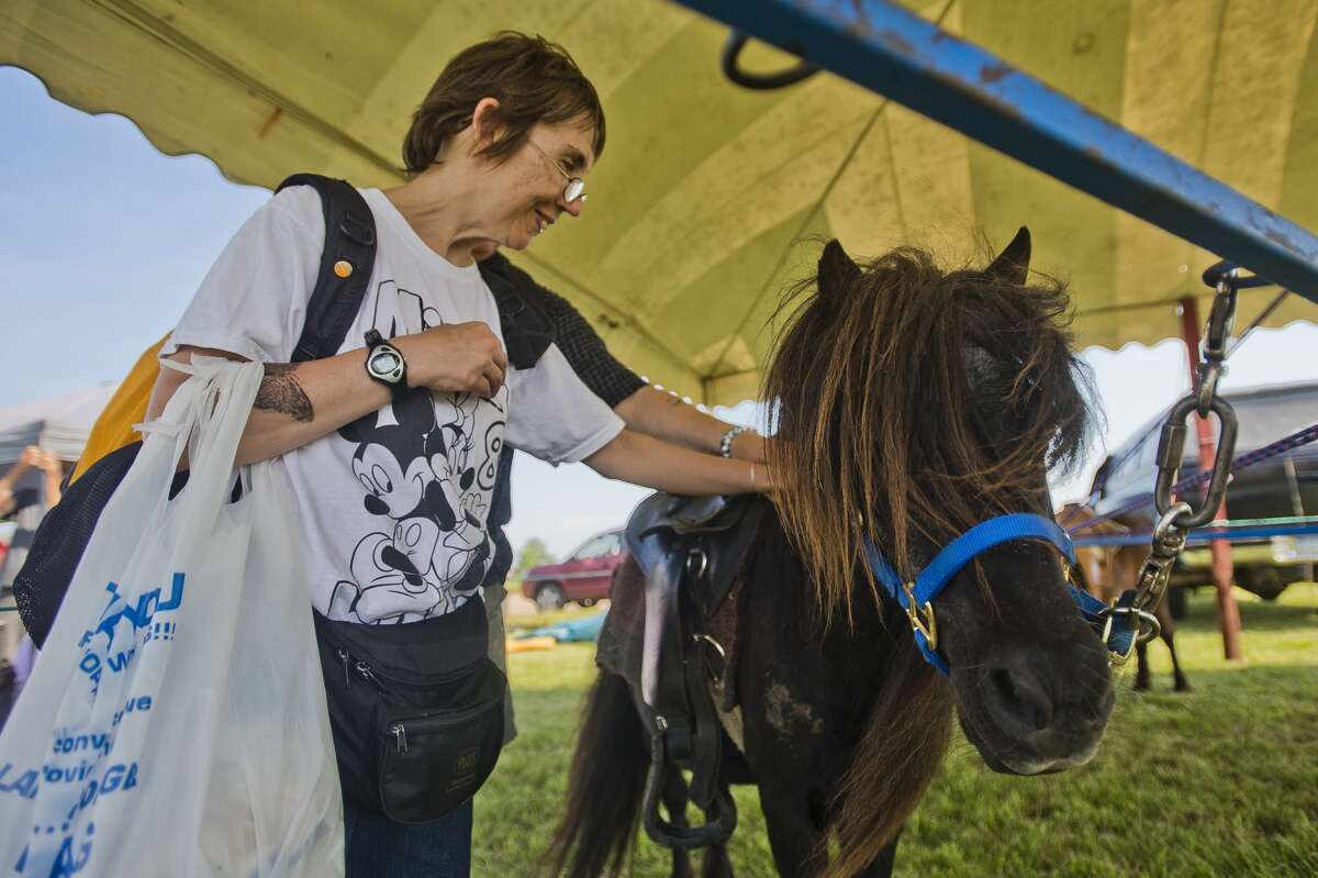 Becky Brookhouse of Bay City pets a Shetland pony at the Auburn Cornfest on Thursday, July 6, 2017 in Auburn.