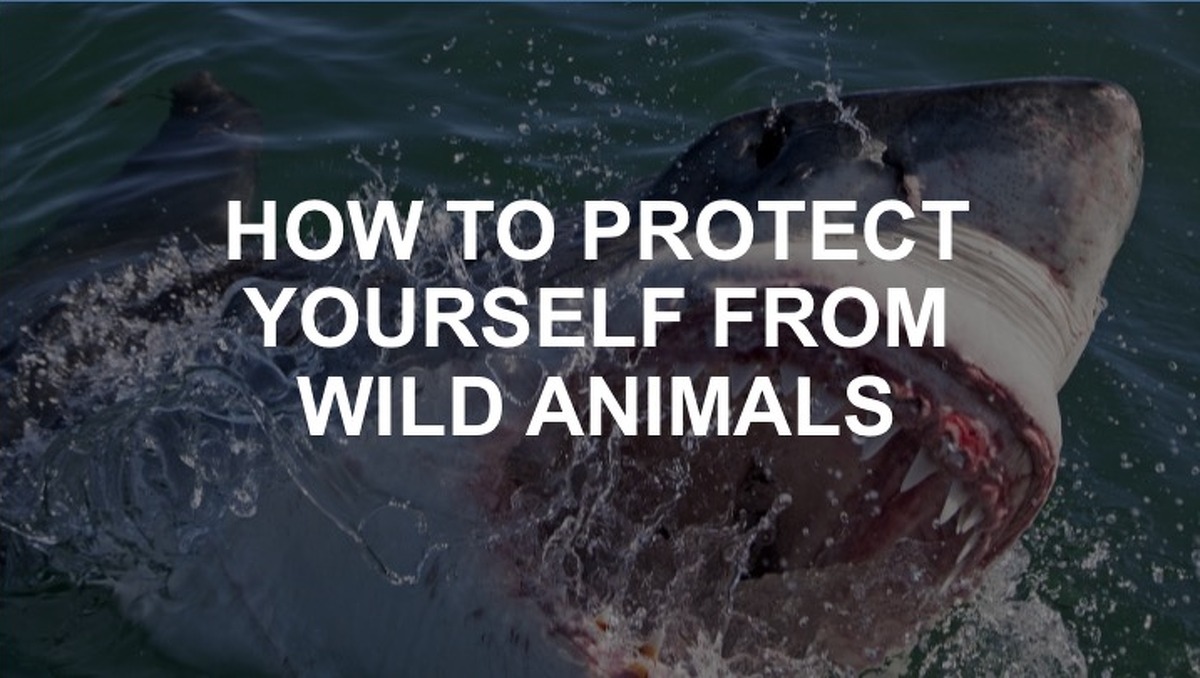 Most creatures you'll find in the wild just want to stay out of your way. But just in case, click on to read tips on how to walk away from close encounters unhurt.