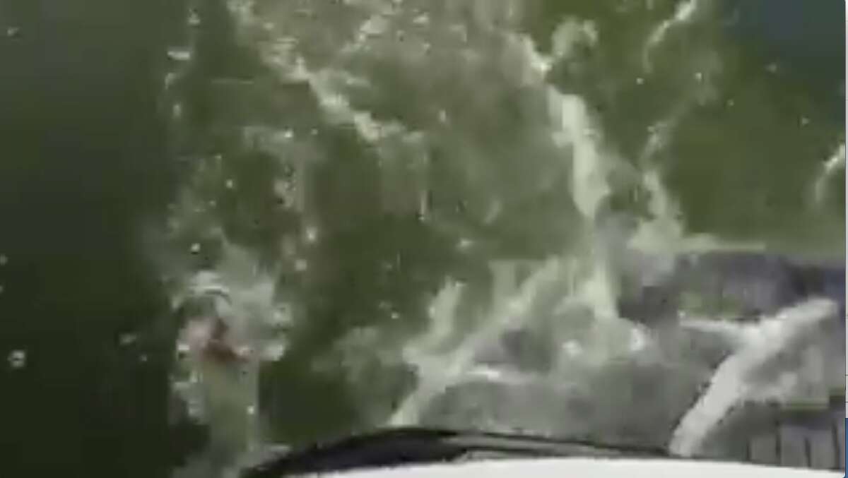 Wild video shows determined rattlesnake slithering aboard boat in Folsom Lake