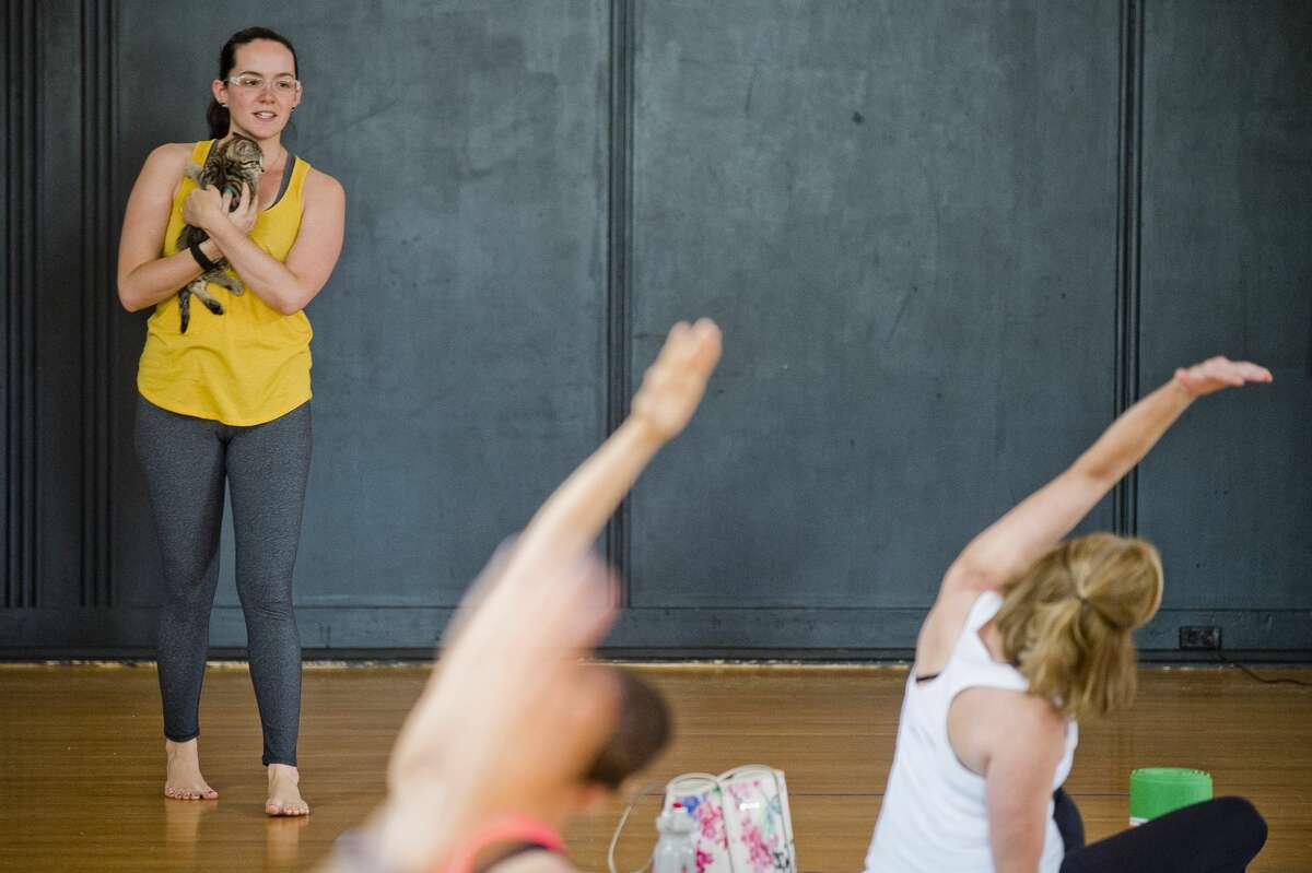 Sarah Nelson instructs a group during a ?’Cats on Yoga Mats?“ class hosted by The Humane Society of Midland County and Alignment 8 yoga on Friday, July 7, 2017 at The Lofts of Ashman Plaza.